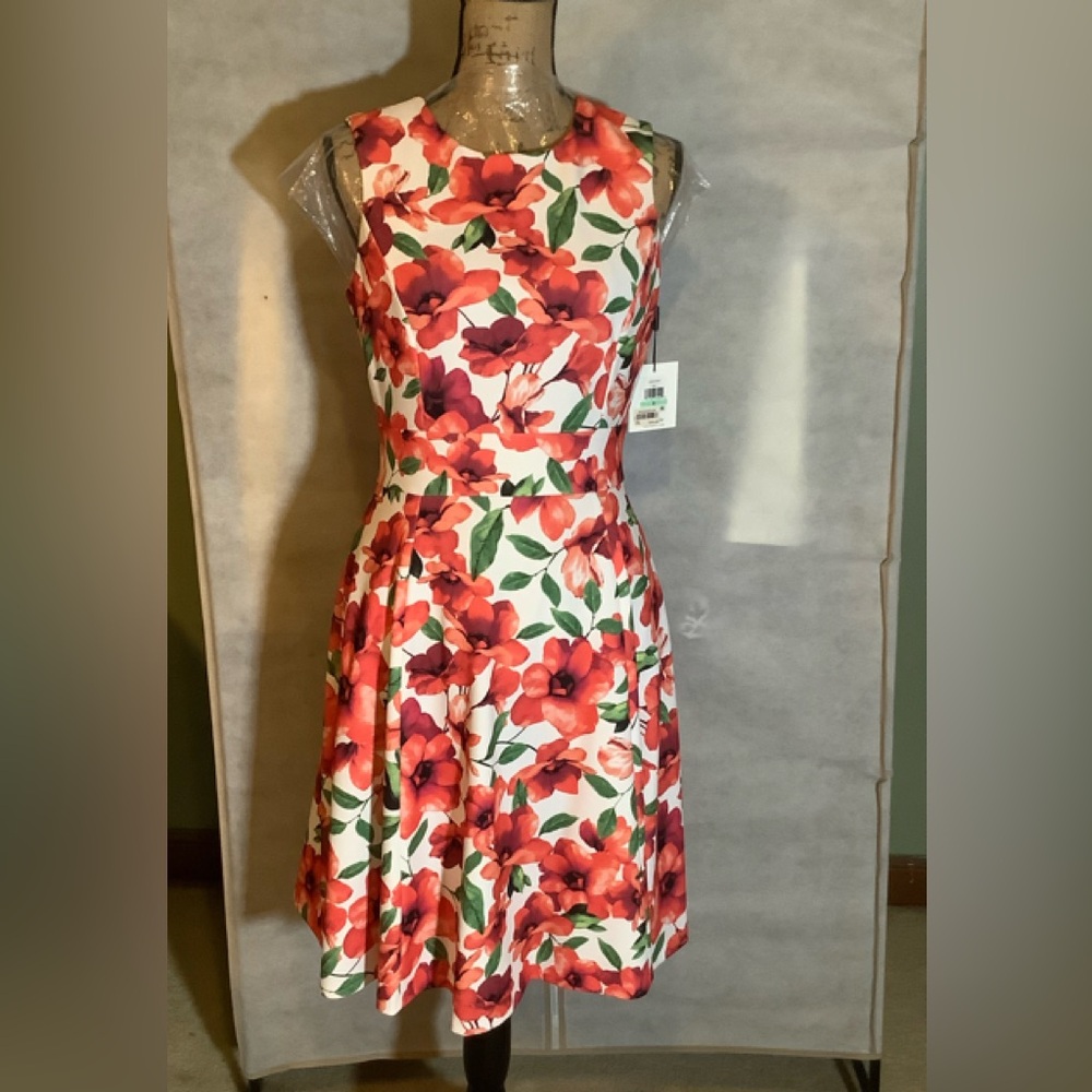 Calvin Klein, Red & White floral Print dress, NWT. SZ 8